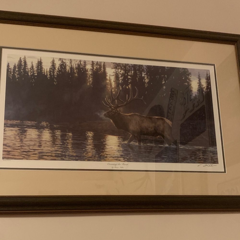 Framed Elk Art Print